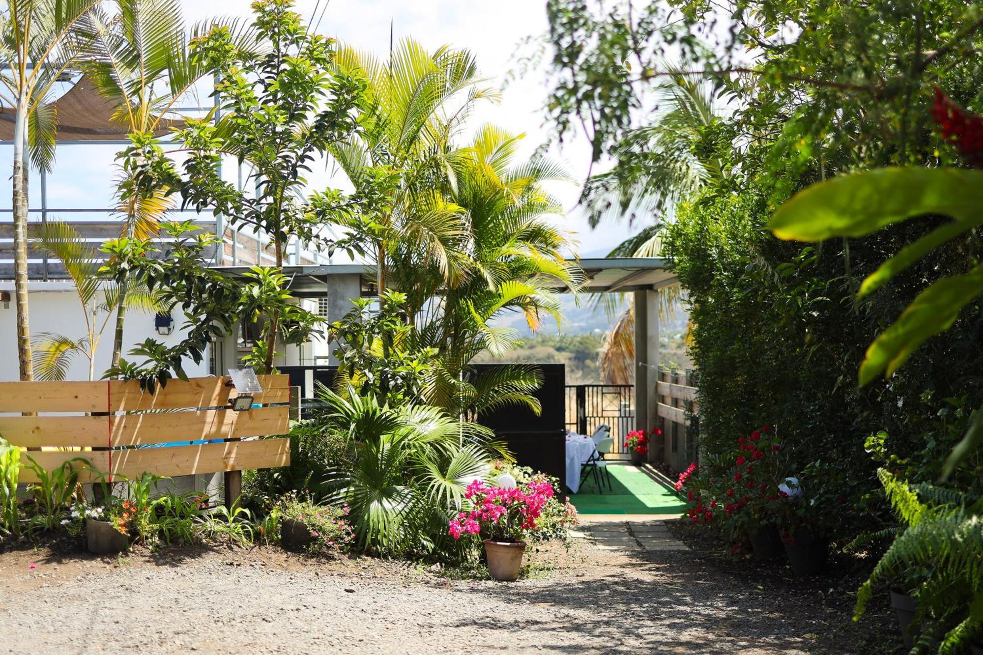Eclats D'Etoiles - Rooftop - Piscine - By Sister Home Saint Pierre Extérieur photo